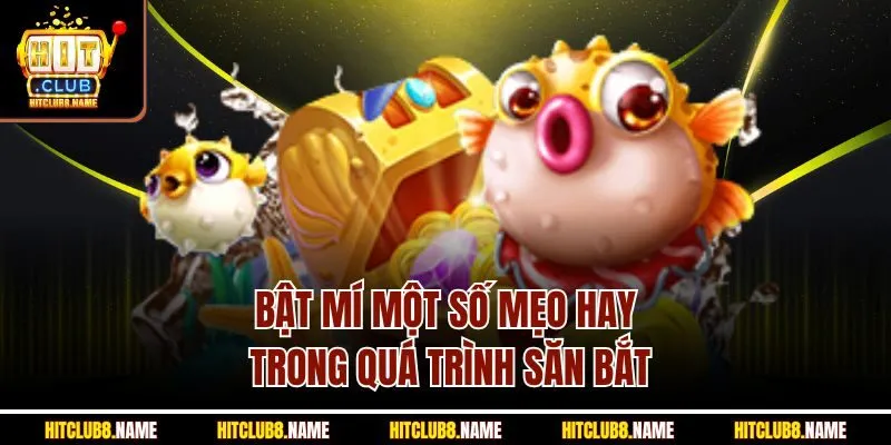 Bật mí một số mẹo hay trong quá trình săn bắt