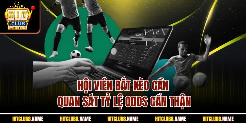 Hội viên bắt kèo cần quan sát tỷ lệ Odds cẩn thận
