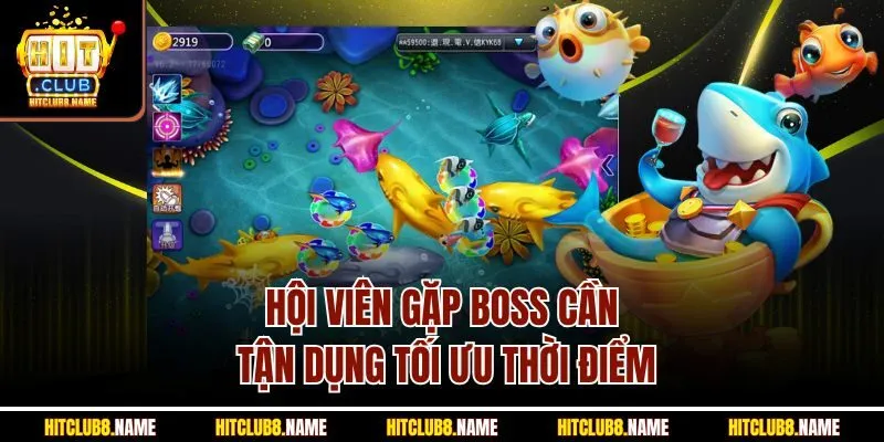 Hội viên gặp Boss cần tận dụng tối ưu thời điểm