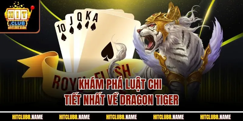 Khám phá luật chi tiết nhất về Dragon Tiger
